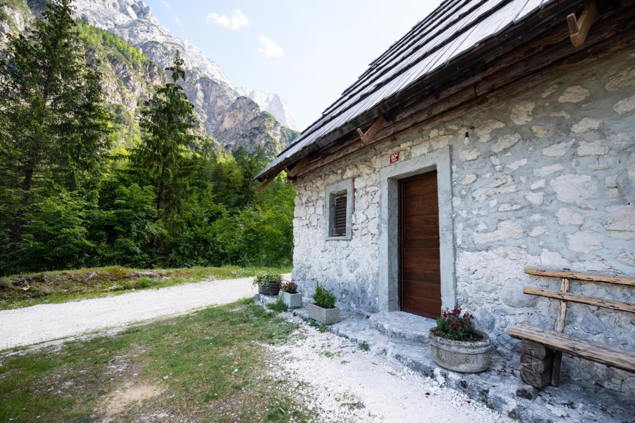 Mountain heart holiday house Trenta Buitenkant foto